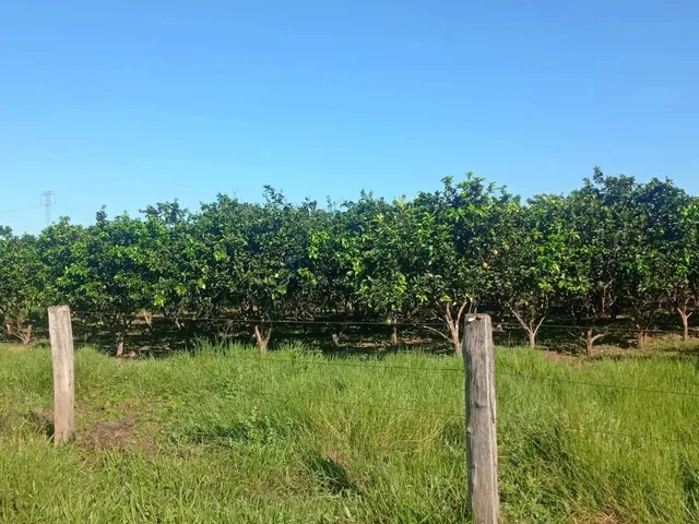 Imagem 5: Fazenda 1994 Hectares Documentada Cuiabá Mt