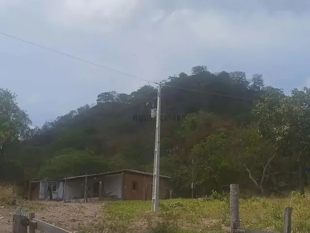 Imagem: Vendo Uma Fazenda com 150 Hectares Próximo