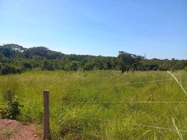 Imagem: Chácara de 2,9 Hectares Toda no Cerradão