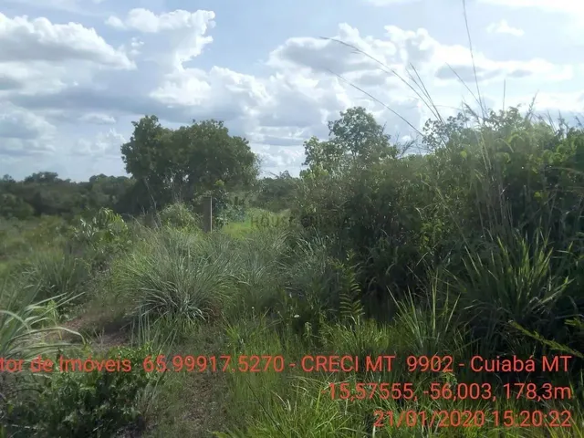Imagem 8: Chácara 4 Km da Cidade de Cuiabá