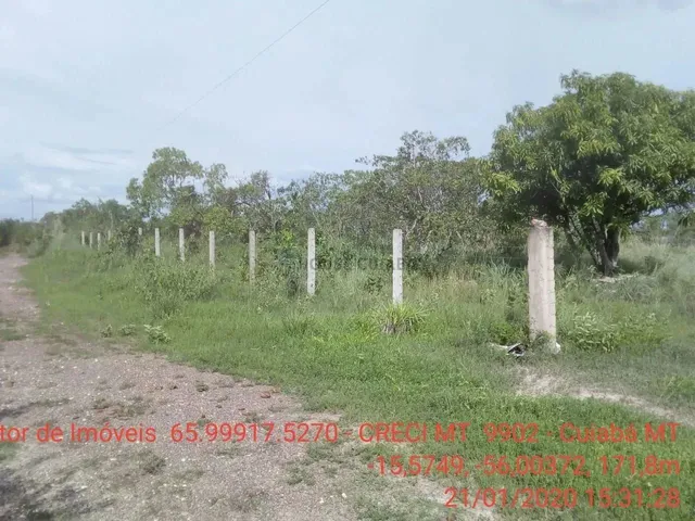 Imagem 11: Chácara 4 Km da Cidade de Cuiabá