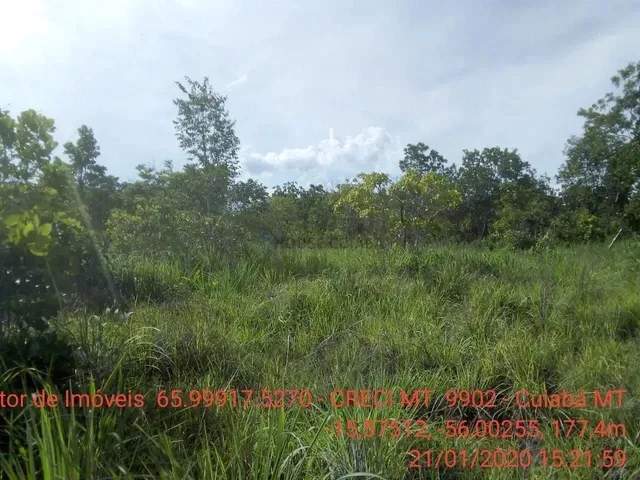 Imagem 9: Chácara 4 Km da Cidade de Cuiabá