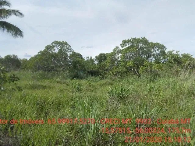 Imagem 15: Chácara 4 Km da Cidade de Cuiabá