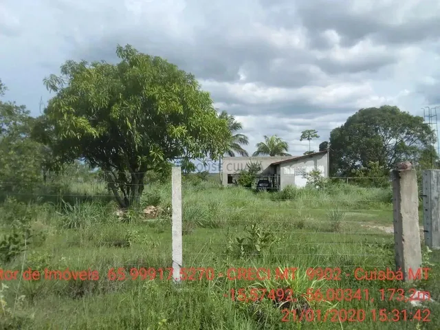 Imagem 12: Chácara 4 Km da Cidade de Cuiabá
