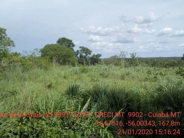Imagem 10: Chácara 4 Km da Cidade de Cuiabá