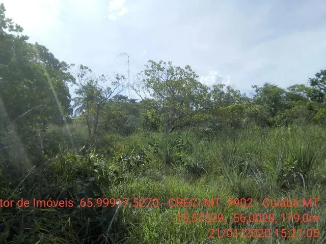 Imagem 2: Chácara 4 Km da Cidade de Cuiabá