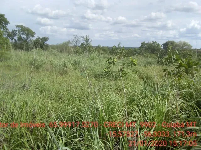 Imagem 7: Chácara 4 Km da Cidade de Cuiabá