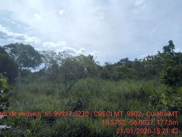 Imagem 13: Chácara 4 Km da Cidade de Cuiabá