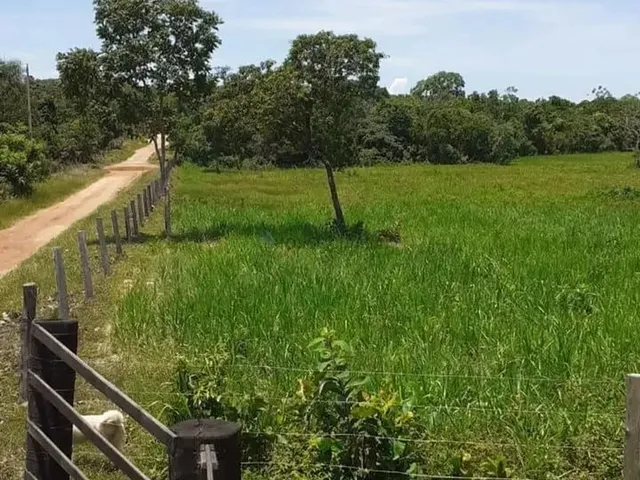 Imagem: Chácara 13 Hectares Coxipo do Ouro