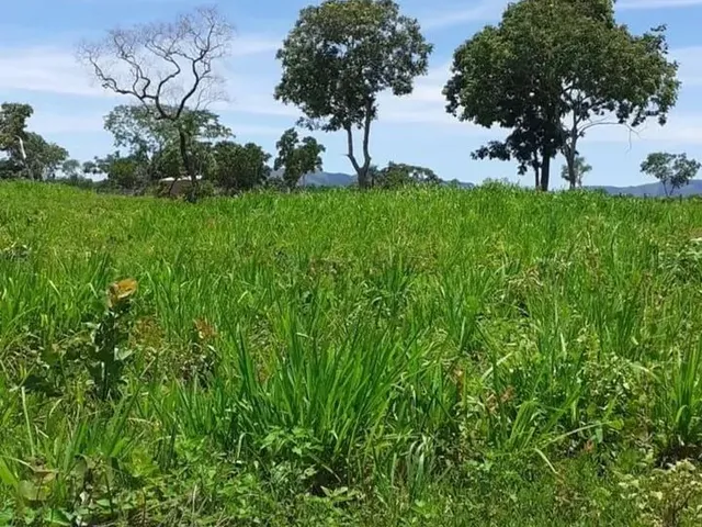Imagem 15: Chácara 13 Hectares Coxipo do Ouro