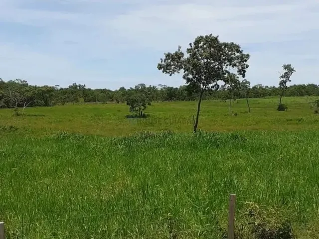 Imagem 14: Chácara 13 Hectares Coxipo do Ouro