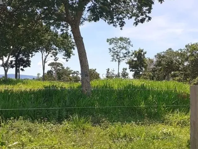 Imagem 3: Chácara 13 Hectares Coxipo do Ouro