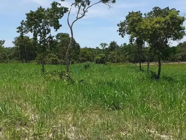 Imagem 13: Chácara 13 Hectares Coxipo do Ouro