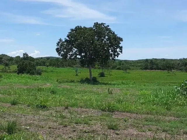 Imagem 8: Chácara 13 Hectares Coxipo do Ouro