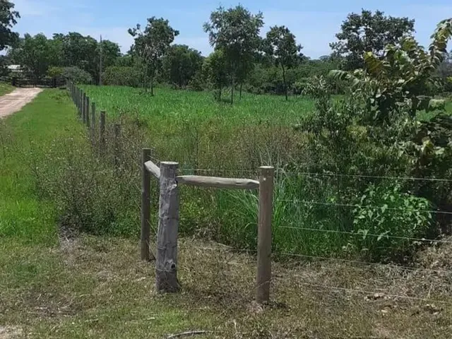 Imagem 4: Chácara 13 Hectares Coxipo do Ouro