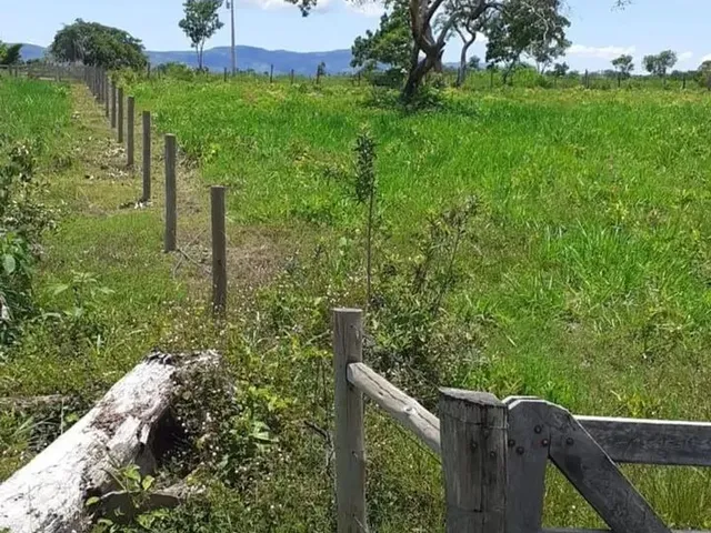 Imagem 7: Chácara 13 Hectares Coxipo do Ouro