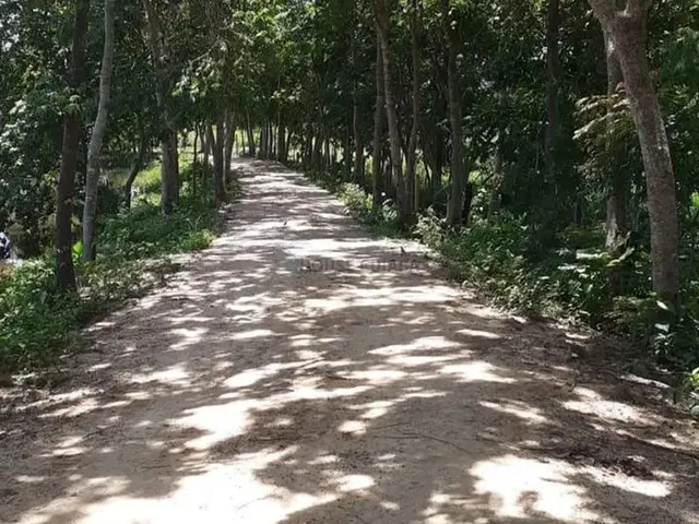 Imagem 10: Chácara 13 Hectares Coxipo do Ouro