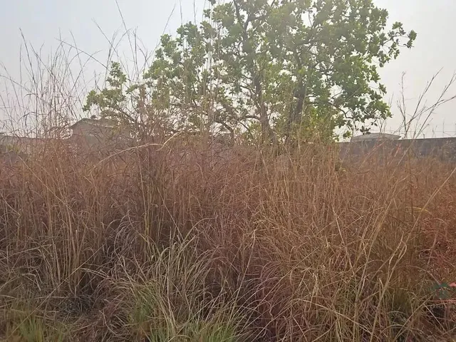 Imagem: Terrenos para Venda, Parque Residencial