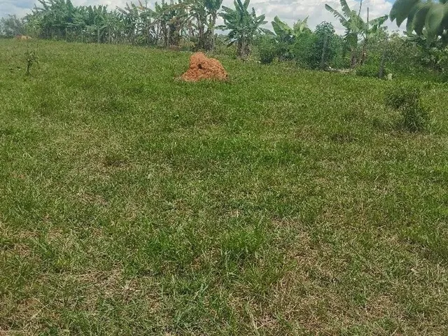 Imagem: Venda de Lote