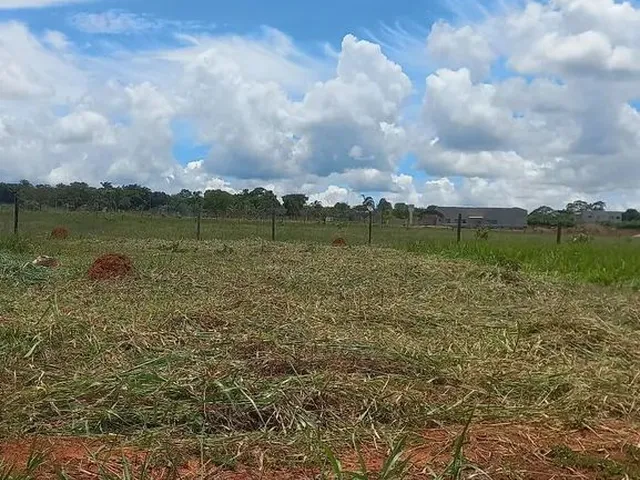 Imagem: Lote, na Ponte Alta