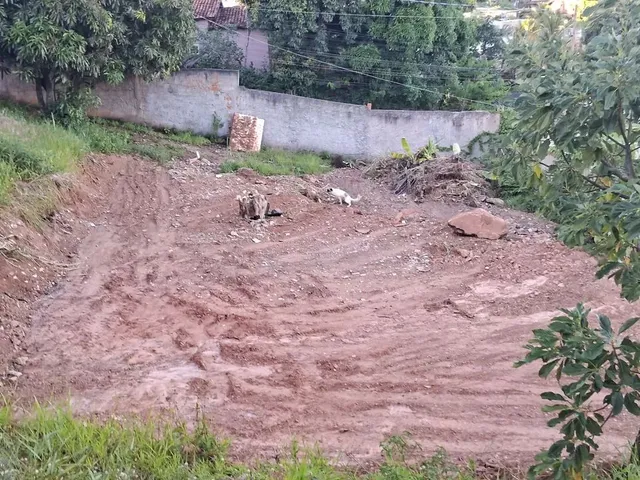 Imagem 5: Lote Abaixo do Preço