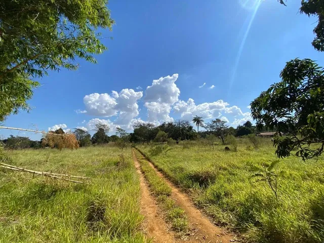 Imagem: Brazlândia - Chácara de 5.000 Metros Quadrados