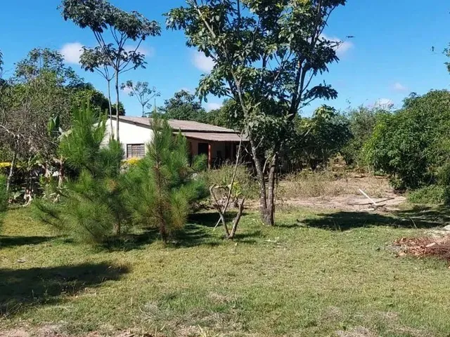 Imagem: Chácara Df 001 Km 100 - Alexandre Gusmão
