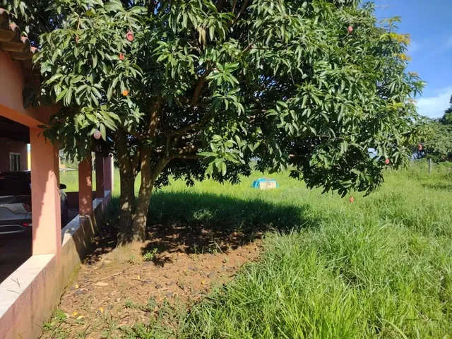 Imagem 5: Chácara para Venda Centro, Brasília