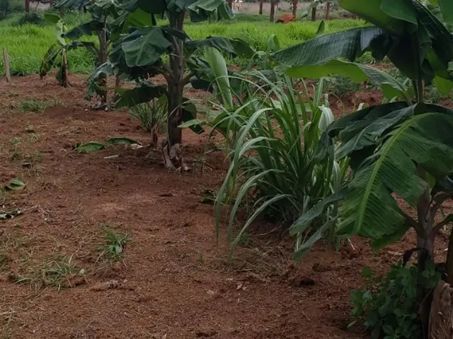 Imagem: Vendo Esse Terreno