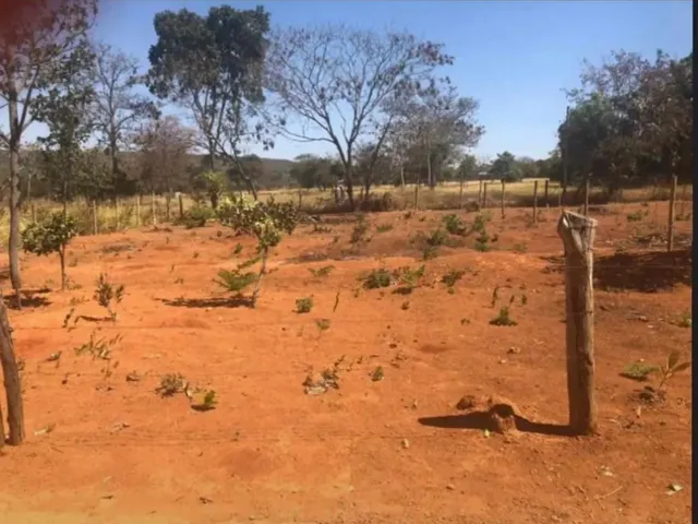 Imagem 2: Lote a Venda no Sarandi Próximo Emprapa, Planaltina Df