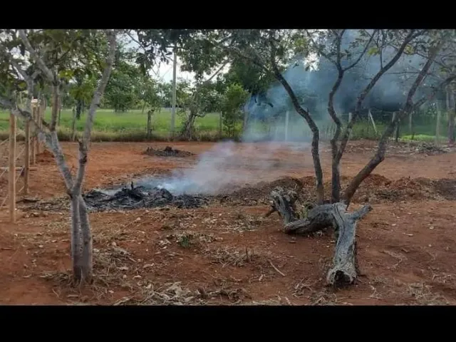 Imagem 3: Lote a Venda no Sarandi Próximo Emprapa, Planaltina Df