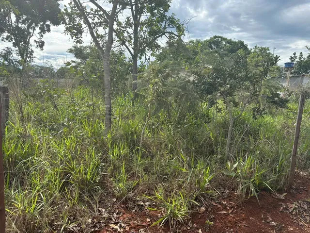 Imagem 4: Lote a Venda no Sarandi Próximo Emprapa, Planaltina Df