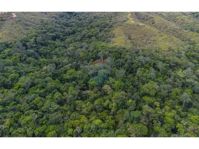 Imagem 15: Terreno Moradia e Investimento