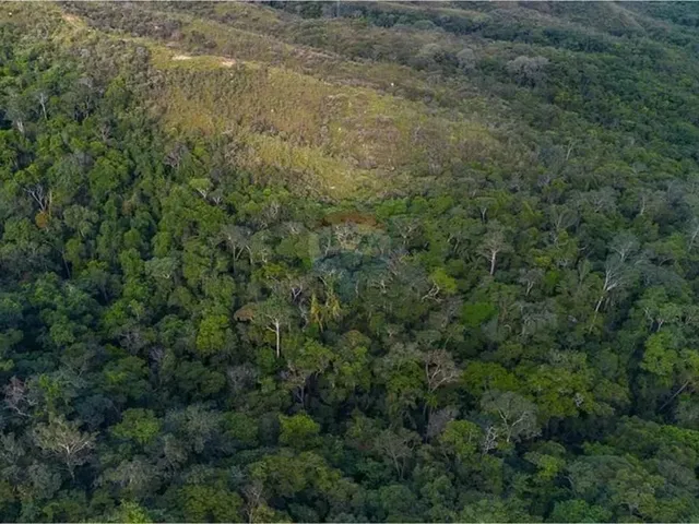 Imagem 12: Terreno Moradia e Investimento