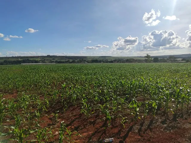 Imagem 9: Vendo o Melhor Sítio da Região da Taquara Df