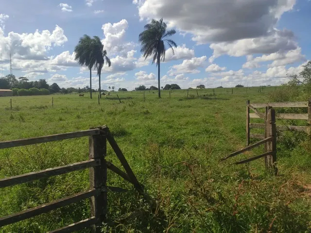 Imagem 6: Vendo o Melhor Sítio da Região da Taquara Df