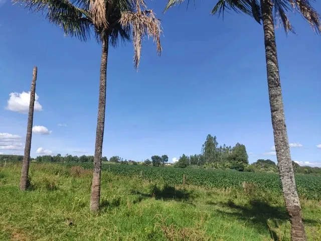 Imagem 12: Vendo o Melhor Sítio da Região da Taquara Df
