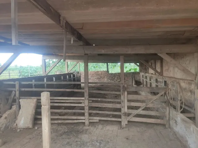 Imagem 7: Vendo o Melhor Sítio da Região da Taquara Df