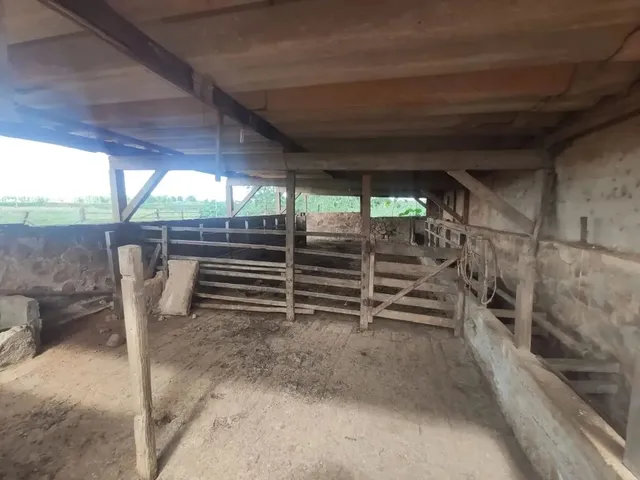 Imagem 3: Vendo o Melhor Sítio da Região da Taquara Df