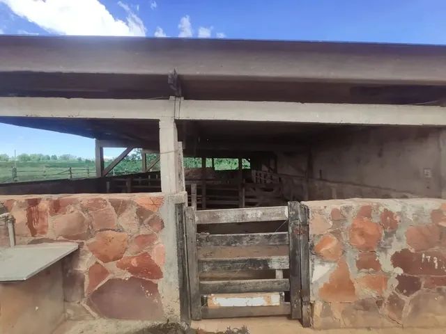 Imagem 15: Vendo o Melhor Sítio da Região da Taquara Df