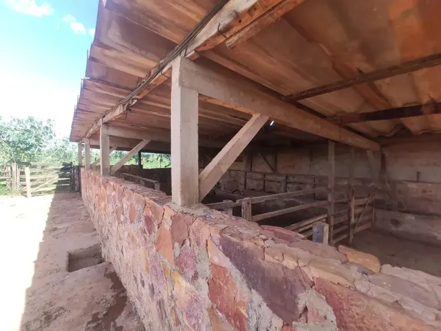 Imagem 13: Vendo o Melhor Sítio da Região da Taquara Df