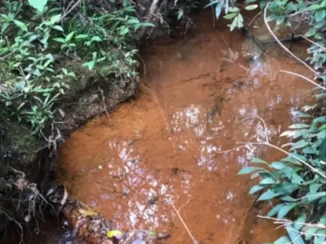 Imagem 4: Vende-Se Uma Excelente Chácara Localizada no Girassol , Aceito Carro em Negócio