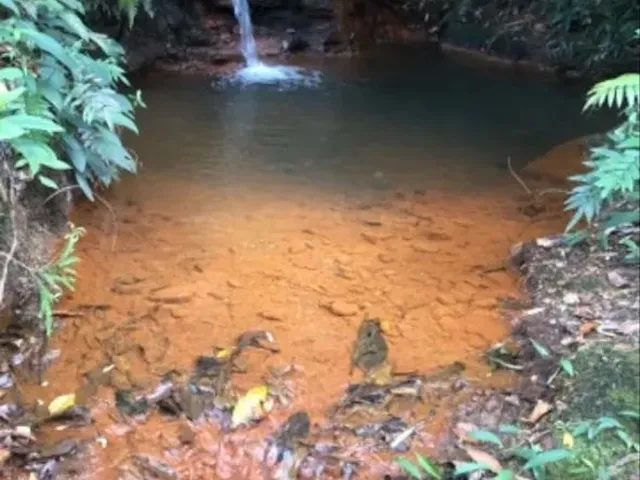 Imagem 5: Vende-Se Uma Excelente Chácara Localizada no Girassol , Aceito Carro em Negócio