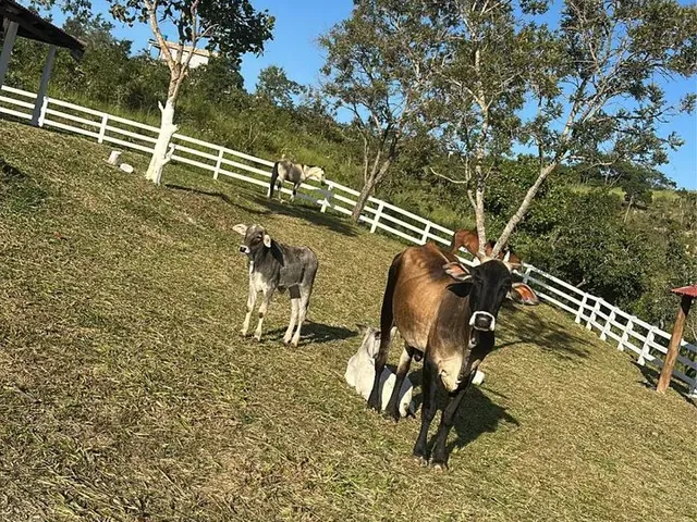 Imagem 8: Vende-Se Uma Excelente Chácara Localizada no Girassol , Aceito Carro em Negócio