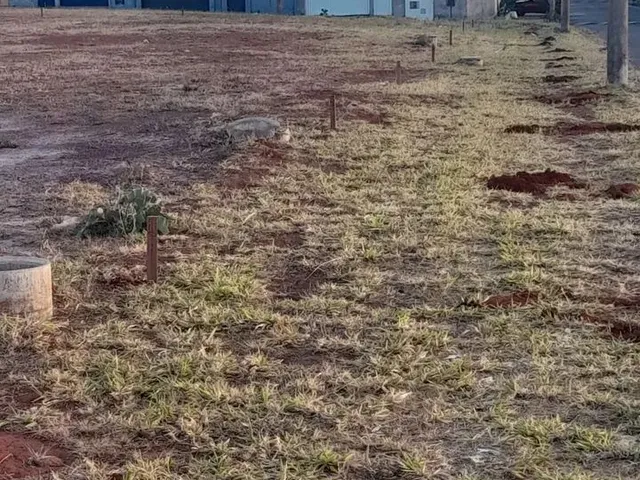 Imagem: Lote de 127M2