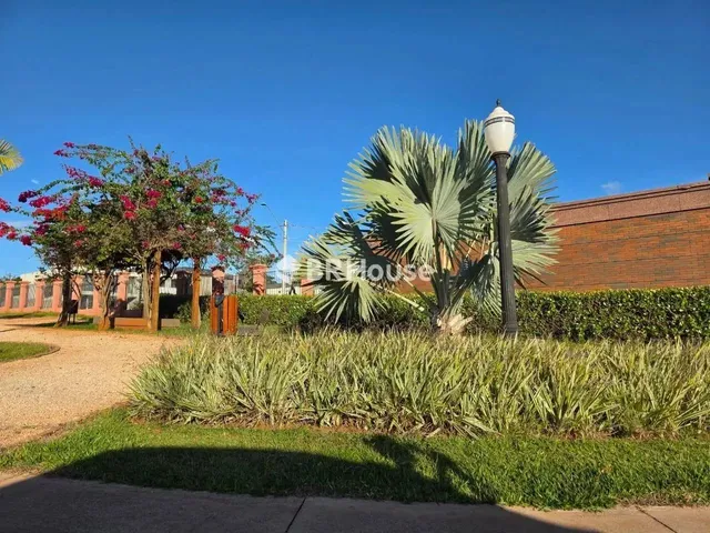 Imagem: Setor Habitacional Tororó (Jardim Botânico