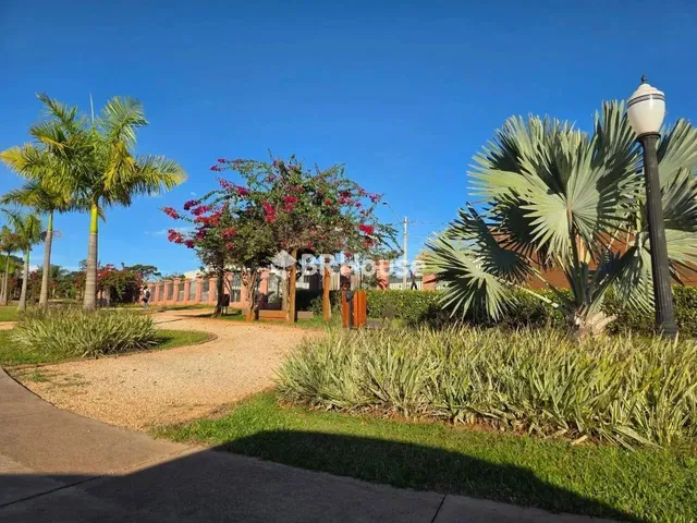 Imagem 9: Setor Habitacional Tororó (Jardim Botânico