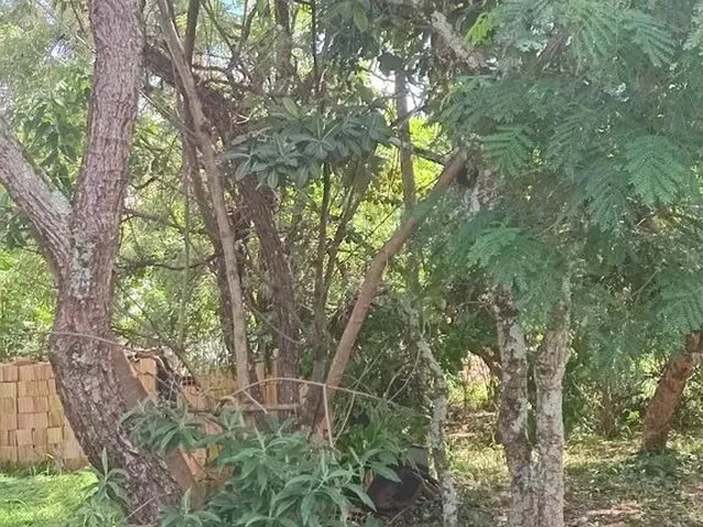 Imagem: Lote a Venda no Setor Habitacional Jardim