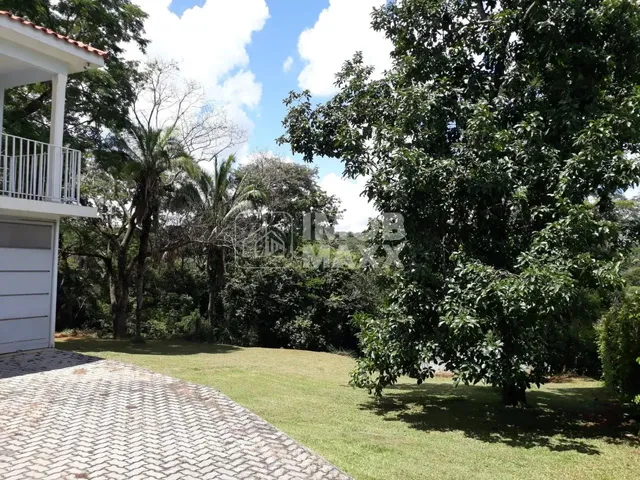 Imagem 16: Chácara Formada, Excelente Oportunidade, Margem Rio Maranhão, Pomar, em Planaltina Df