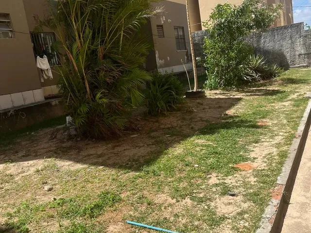 Imagem 12: Apartamento Pitangueiras 3